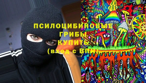 Альфа ПВП Алексин