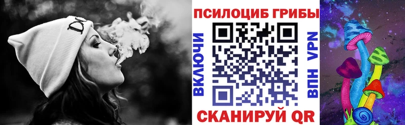 hydra ссылки  сколько стоит  Закаменск  Псилоцибиновые грибы мицелий 